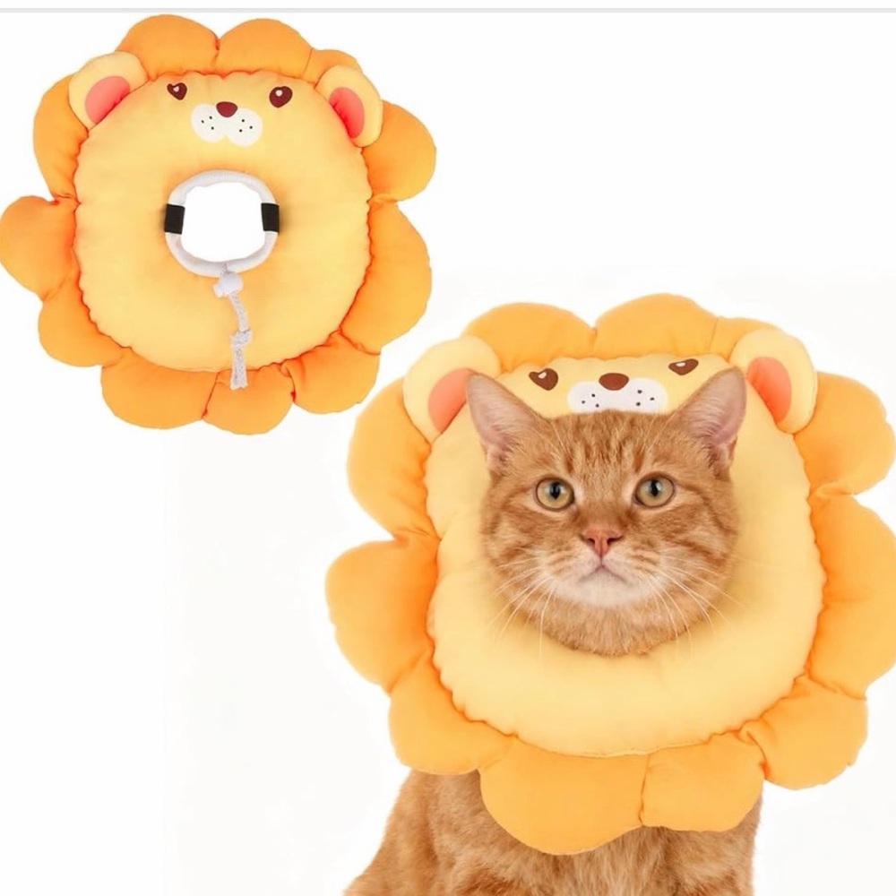 Soft, Cat cone / E collar, for after surgery to prevent licking